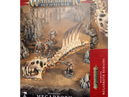 RESTOS DE  MEGADROTH