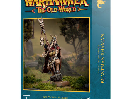 BEASTMEN BRAYHERDS: BEASTMAN SHAMAN